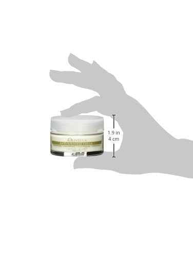 Olivella Anti-Wrinkle Cream, Olive, 1.69 Fluid Ounce, 207125