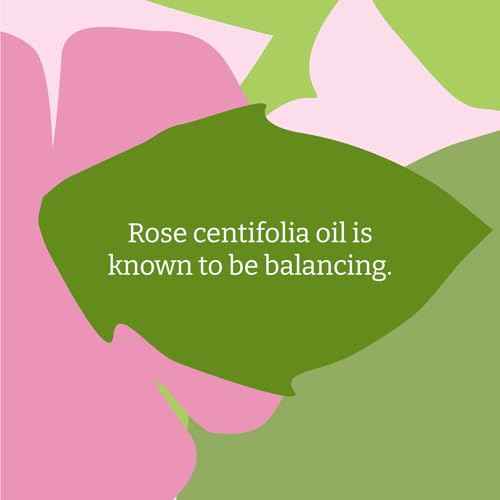 Faith In Nature Natural Hand Wash & Body Wash Set - Vegan & Cruelty Free, No SLS or Parabens - 2 x 169 fl oz Value Bundle Pack, Wild Rose