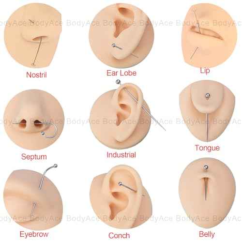 BodyAce 14G 16G 18G 20G Piercing Taper, Stainless Steel Threadless Insertion Pin Screw On Assistant Tool, Curved Body Piercing Stretching Kit for Ear/Nose/Navel/Lip/Eyebrow