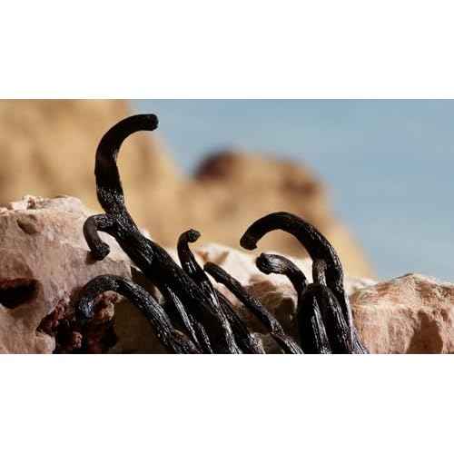 Dolce&Gabbana Q Parfum, Eau De Parfum Spray, For Women