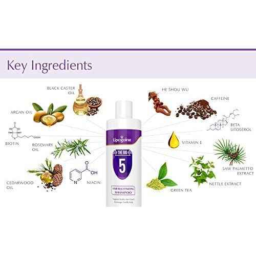 Lipogaine Big 5 Hair Stimulating All Natural Shampoo for Hair Thinning & Breakage (purple) (16oz)