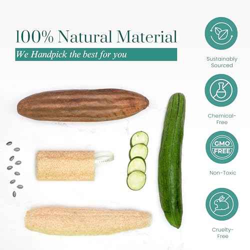 Natural Loofah Sponge, 5?Pack (6") Exfoliating Body Scrubber for Shower, Luffa Sponge, Bath & Kitchen ? Plant-Based