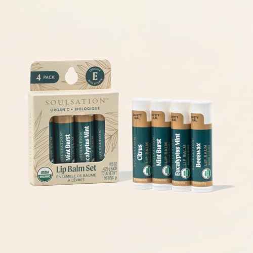Organic Lip Balm Set, 4 Flavors - Moisturizing for Cracked & Dry Lips