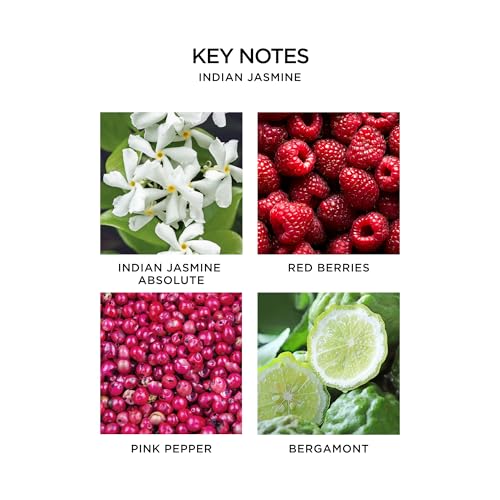 NEST New York Perfume Oil Discovery Set - Includes Balinese Coconut, Turkish Rose, Seville Orange, Indian Jasmine & Madagascar Vanilla - Vegan & Cruelty Free