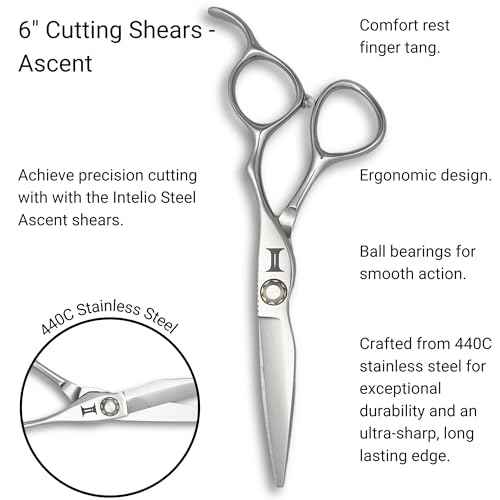 Ascent 6-Inch Hair Cutting Scissors - Silver, Compact, Right Hand, Convex Edge, 440C Stainless Steel
