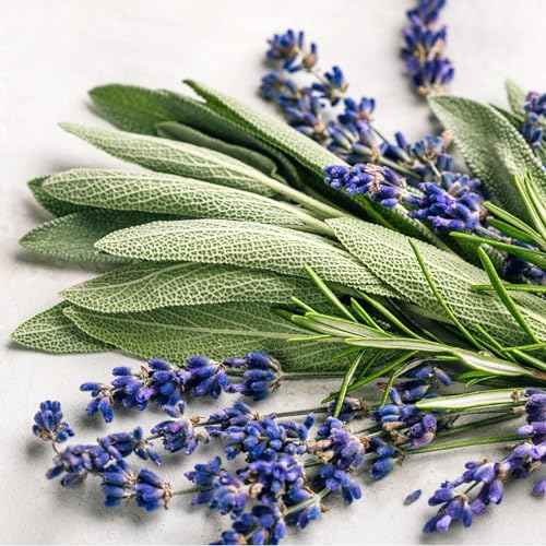 Natural Body Wash | Cleanse, Hydrate, Soften | Sulfate-Free Foaming Lather | Deep yet Gentle, Non-Drying Shower Gel | Handcrafted in Small Batches | All Skin Types incl. Sensitive Skin | Men & Women