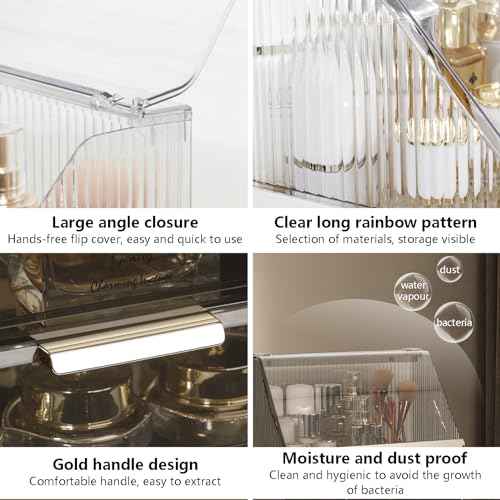 DASITON Dustproof MultiLayer Makeup Brush holder Organizer,Makeup Brush Holder,Makeup Organizers,Large Capacity Desktop Storage Box with Drawer,for Beauty Products...£¨Clear