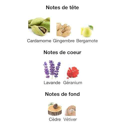 Fragrance World Jack - Eau de Parfum Perfume for Men, 80ml