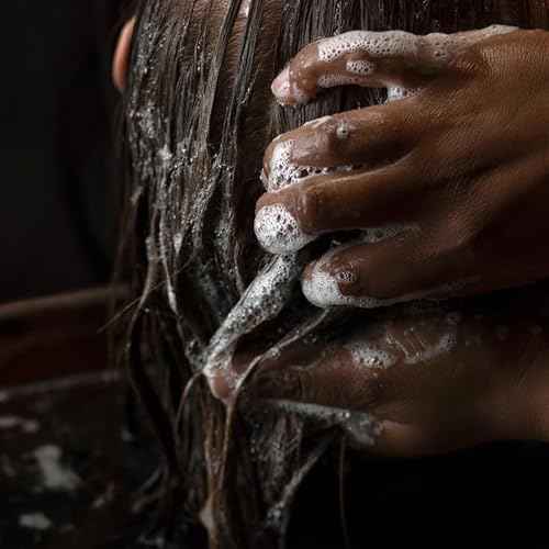 Aesop Shampoo & Conditioner Set | Hydrates, Softens, & Adds Shine | All Hair Types | 16.9 oz / 500mL