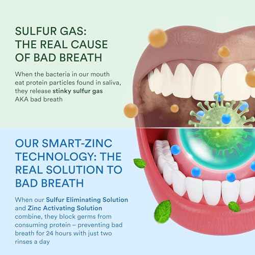 SmartMouth Mouth Sore Zinc Activated Oral Rinse 10.82oz, 2 Pack