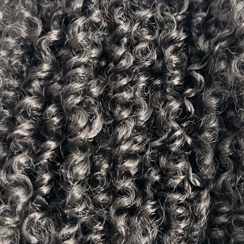 Yanky twists Premium Hand Made Yanky Twist Crochet Hair | 10 inches Black | Curly mini Spring Passion Twist | Short, Pre-Looped Crochet lightweight Braids | 5 Packs - Black