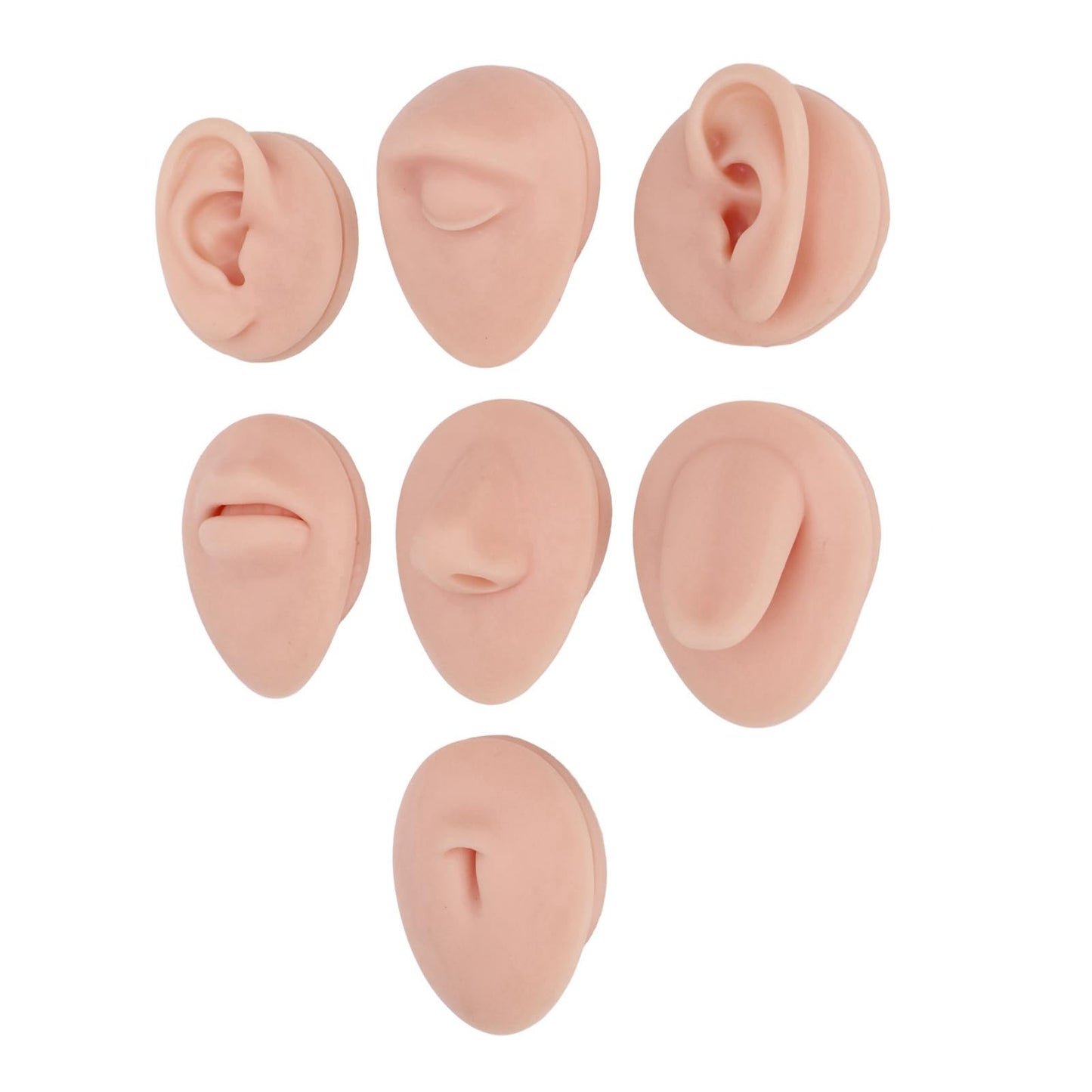 Soft Silicone Flexible Model Body Part, Silicone Nose Tongue Mouth Eye Navel Ear Model Fake Ear with 2 Base for Piercing Practice Acupuncture and Jewelry Display Teaching Tool (Medium Fleshcolor)