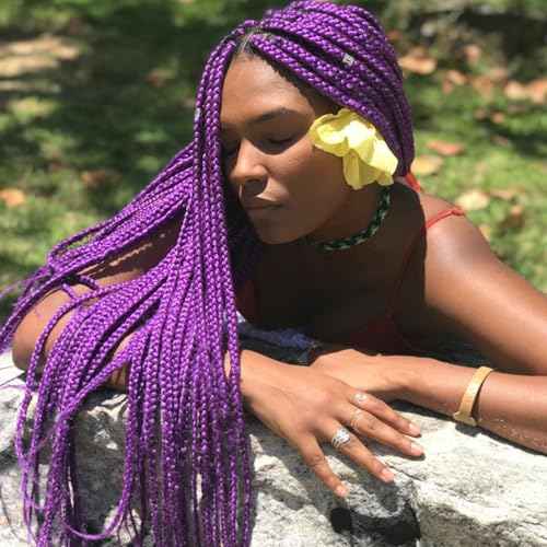 Alrence Purple Braiding Hair Pre Stretched Long Braid 30 Inch 2 Packs Professional Braiding Hair Extensions Synthetic Crochet Twist Braids (30 Inch, Purple)