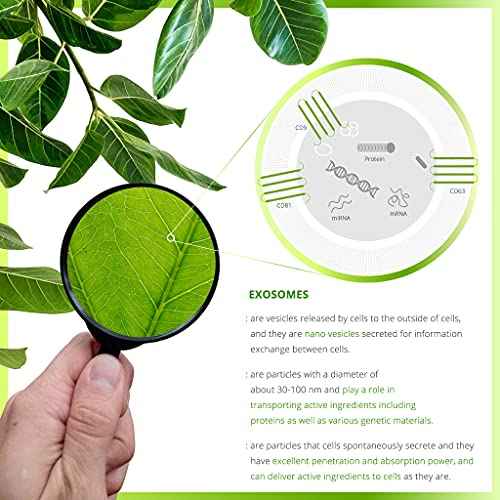 Exosome Toner, Clarifying&Moisturizing, Ginseng Tree Exosome, Quick-Absorbing, Vegan, All Skin Types, 4.05 Fl Oz