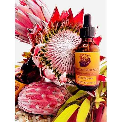 Methylene Blue Skin Serum, Glass Skin African Protea Skin Serum for Age-Tempering, Hydration, Moisturizing, Free-Radical Gathering