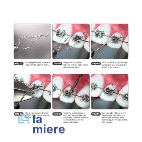 LA MIERE 100 Pcs Orthodontic Stainless Steel Wire SS Ligature Ties Wire Kobayashi Ligature, Long, 0.012