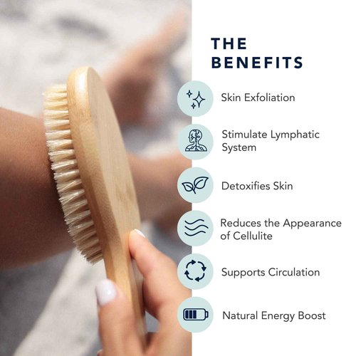 Dry Brush - Sustainable Bamboo Body Scrub Brush with Travel Bag and How-to Dry Brush Guide for Skin Care, Great Gift for Self Care, Exfoliating, Cellulite, Dry Skin - Conscious Coconut