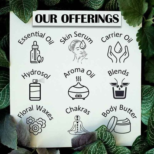 dève herbes Spearmint Essential Oil (Mentha spicata) Pure | Non-Sticky | Non-Greasy | Lightweight | Men & Women | All Skin Types | Steam Distilled 15ml (0.5 oz)