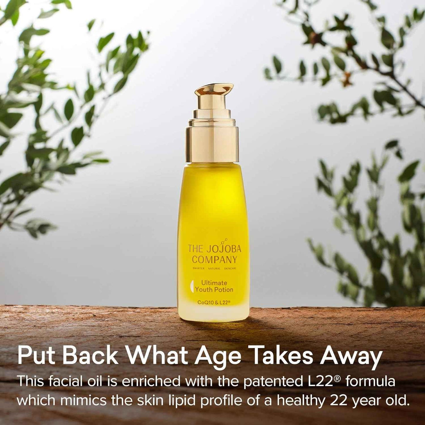 The Jojoba Company Ultimate Youth Potion, Maintains Youthful Glow, Improves Skin Elasticity & Firmness, Enriched w/Patented L22 Formula - Restores Skin Lipid Profile of a Healthy 22 Year Old, 50ml