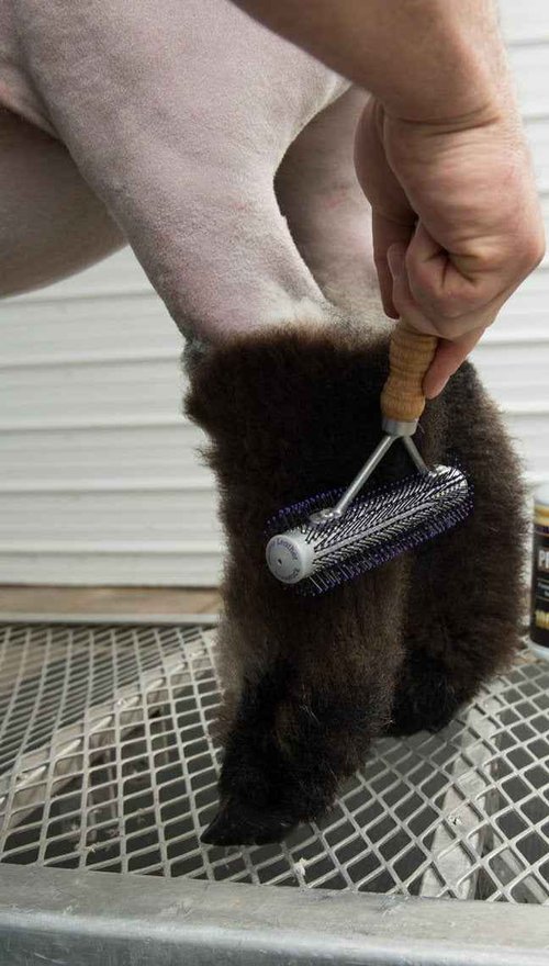 Weaver Leather Livestock Mini Wide Range Brush, 69-6016