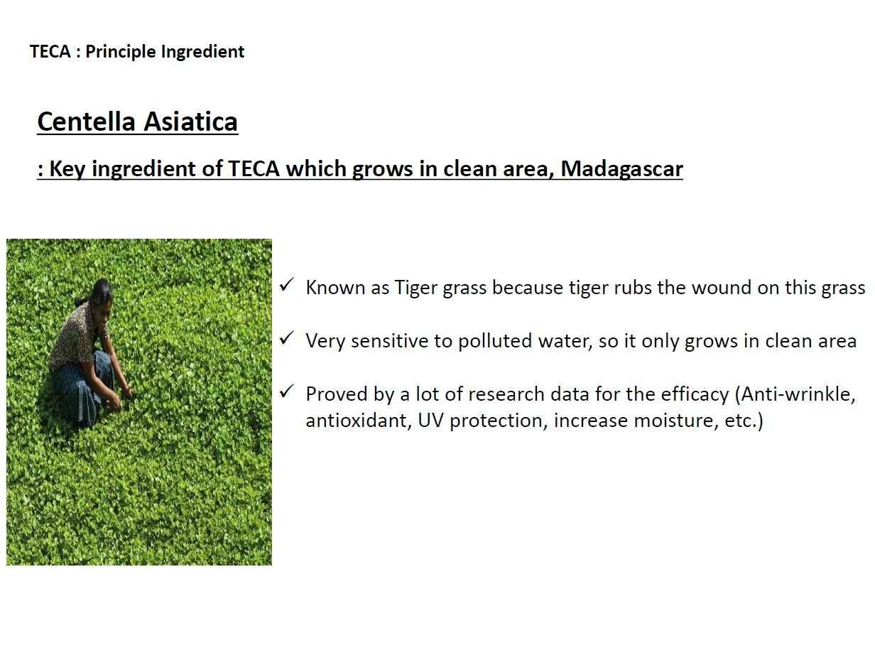 DONGKOOK CENTELLIAN 24 Micro Serum 50ml/1.69fl oz with TECA Tech. K-beauty#