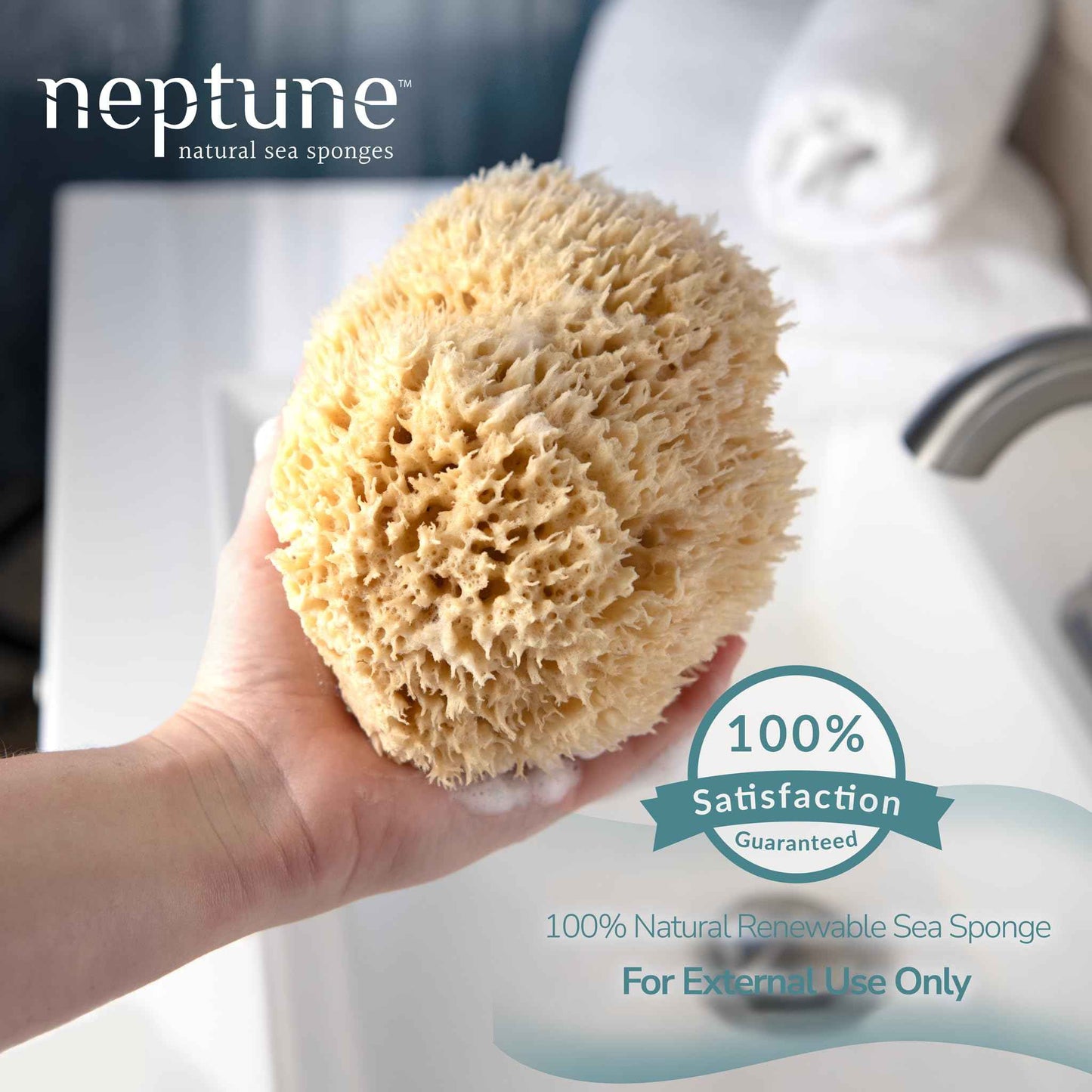 Neptune Sea Wool Sponge – Natural Mediterranean Bath Sponge, Hand-Cut, Extra-Large, Approx. 8-9", Gentle Exfoliation for Body & Skincare