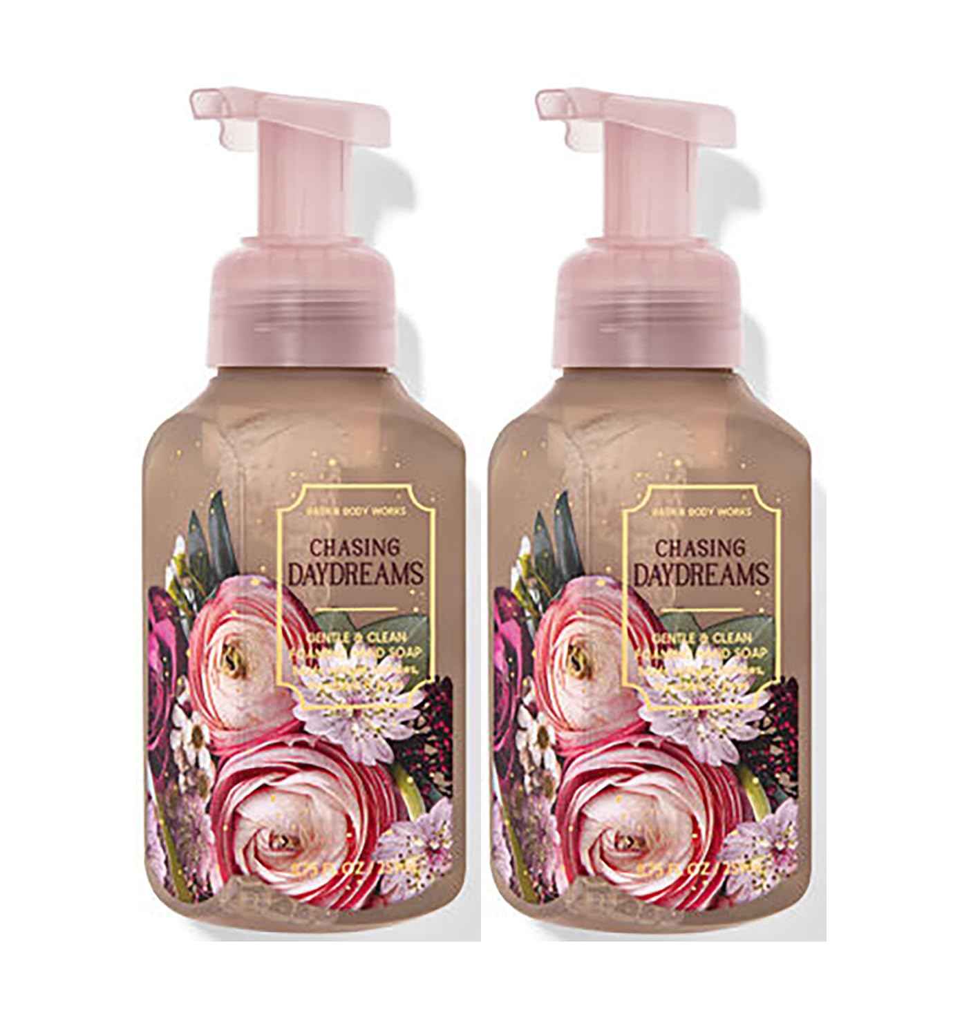 Bath & Body Works Bath and Body Works Gentle Foaming Hand Soap 8.75 Ounce 2-Pack (Chasing Daydreams)