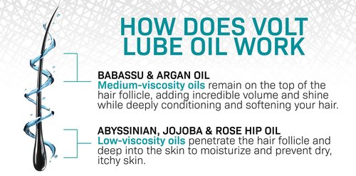 VOLT Lube Beard Oil - Natural Vegan Formula with Jojoba & Argan Oil, 1 Oz (30ml) Glass Bottle, Everest Scent