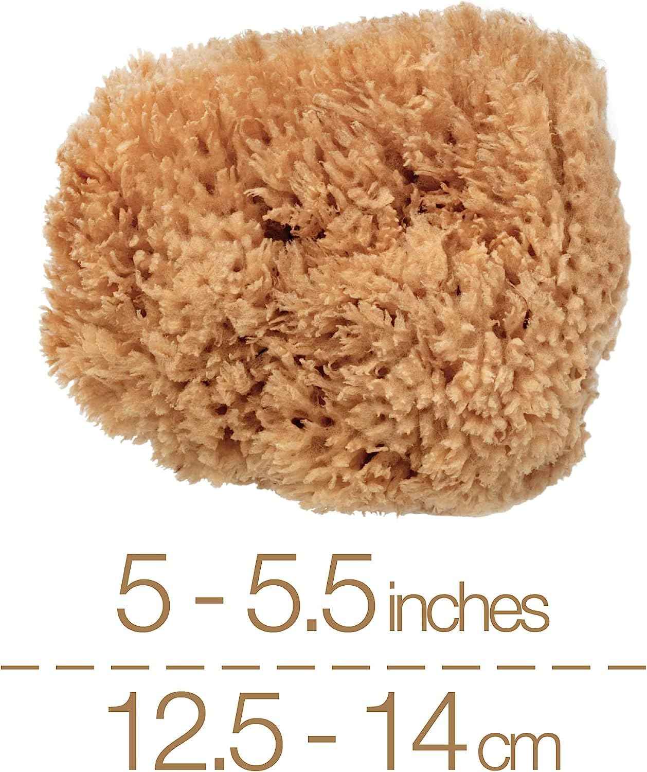 BodyCare Sea Sponge, 12.5-14cm, Premium Quality Exfoliating Sponge for The Most Sensitive and Delicate Skin. A Natural Unbleached Sponge, Sustainibly Harvested in Plastic-Free Packaging