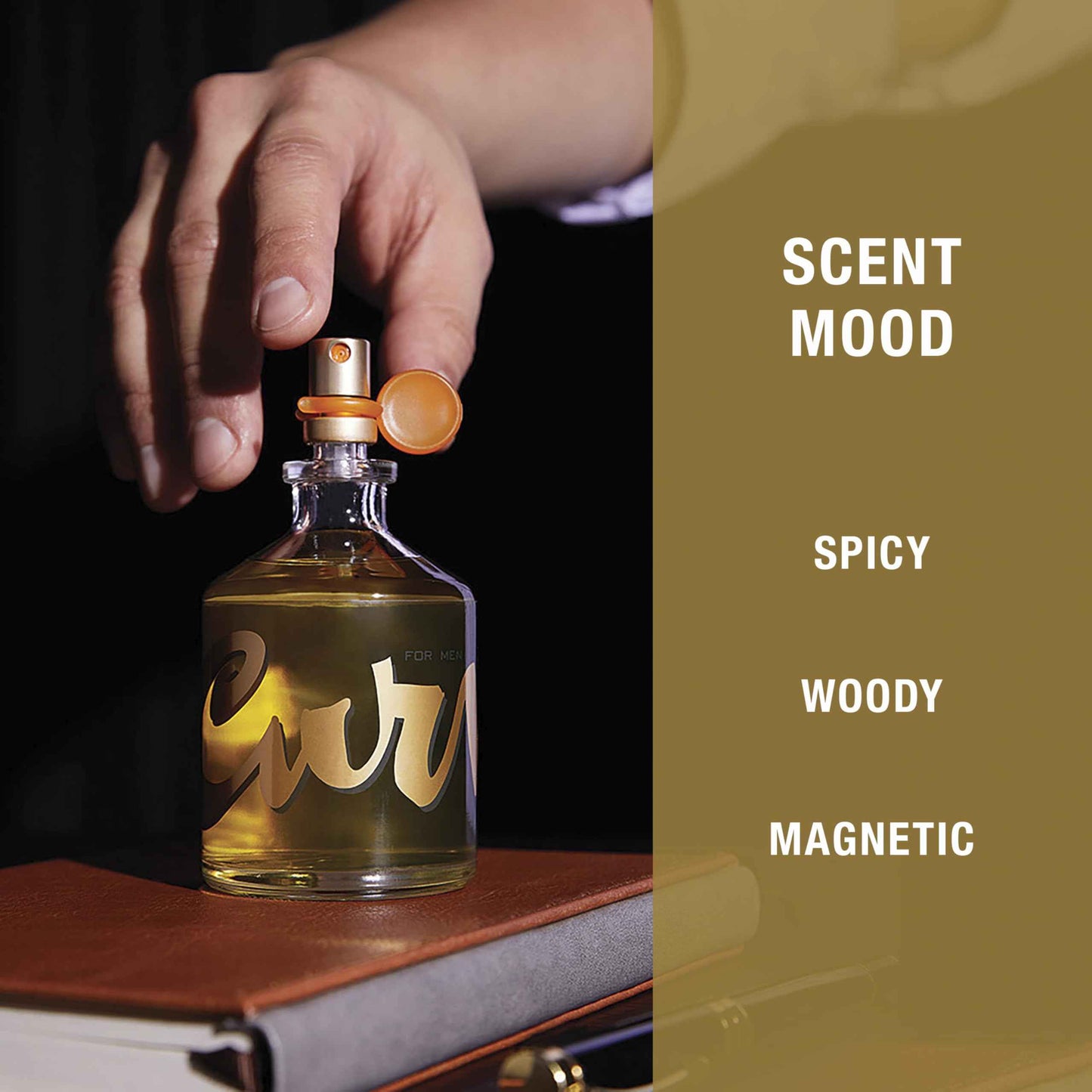 Curve Men's Cologne Fragrance Spray, Spicy Wood Magnetic Scent for Day or Night, 6.8 Fl Oz