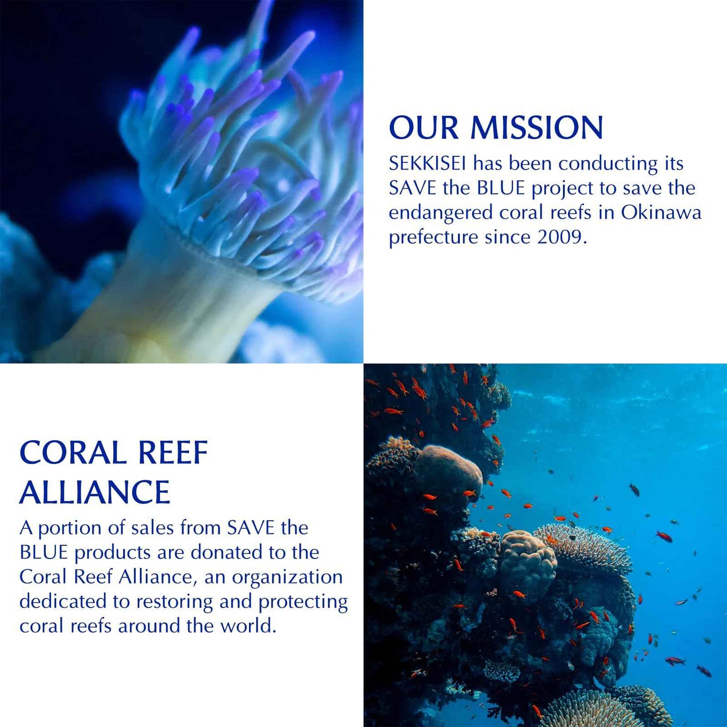 SEKKISEI Clear Treatment Essence, Renewing Skin Treatment, 4.7 Ounce