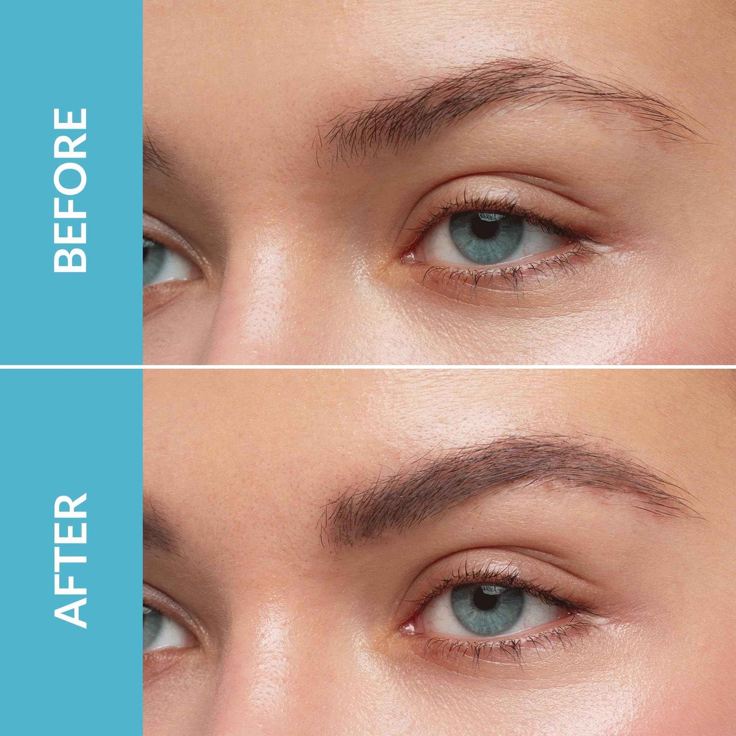 Talika Eyebrow Liposourcils Mascara - Eyebrow Enhancement Formula Brow Mascara - 2 in 1 Makeup & Eyelash Care Solution (Chestnut)