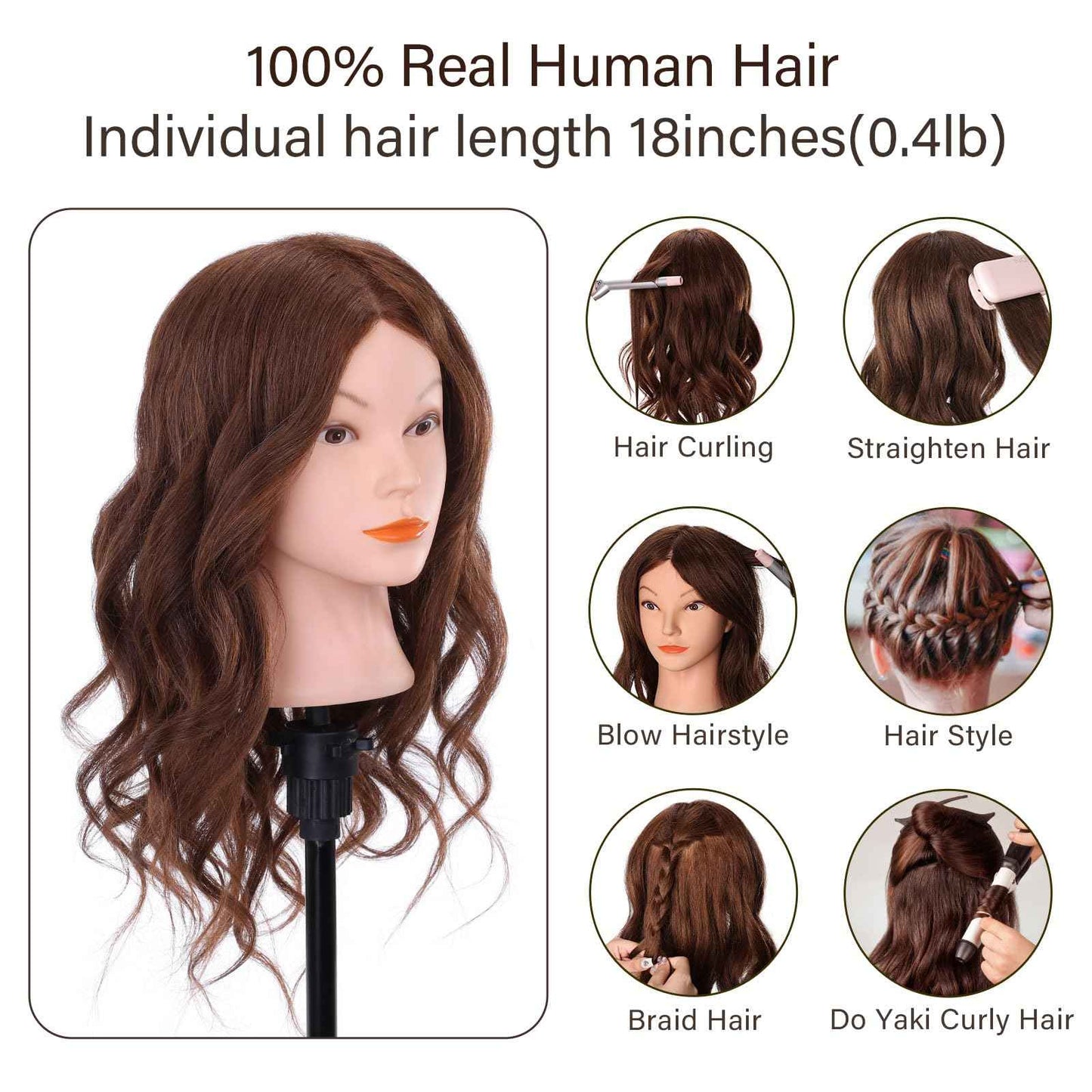 Mannequin Head with 100% Real Hair, Cenoz 18" Hairdresser Cosmetology Training Head with Stand and Tool, Manikin Training Practice Head, Doll Head for Hair Styling (Dark brown)