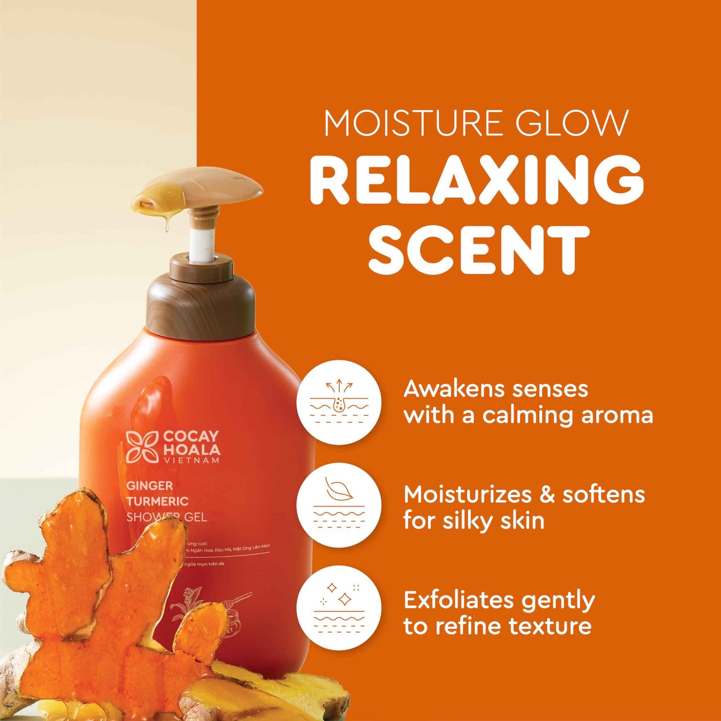 Vietnam's Touch | COCAY HOALA Ginger Turmeric Exfoliating Body Wash – Gentle Body Wash Sensitive Skin – Moisturizing & Nourishing Daily Shower Gel – Paraben & Silicone Free (17.64 oz)