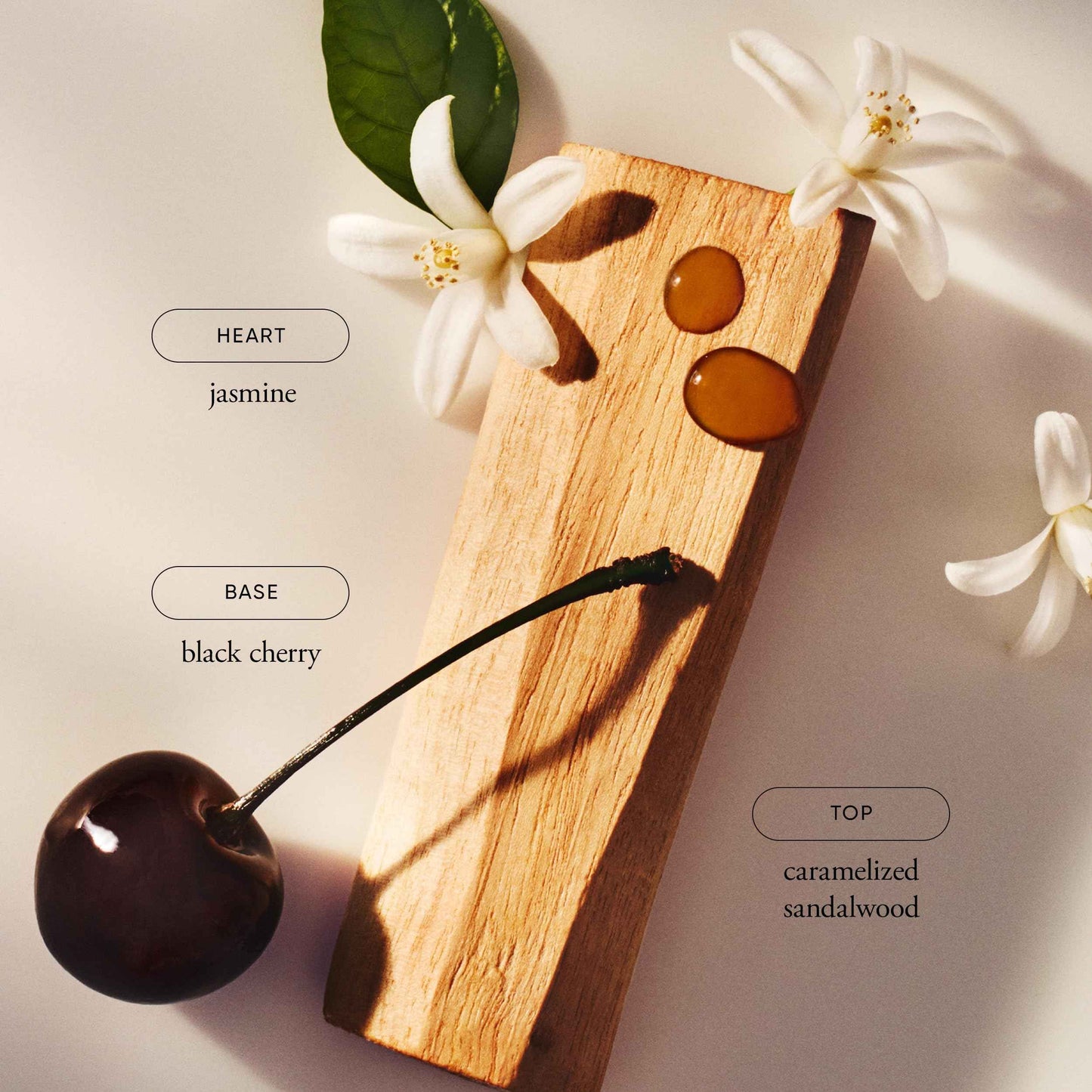 philosophy radiant grace firming body emulsion - luxury scented body lotion - with shea butter - notes of jasmine, black cherry & sandalwood - 16 fl oz