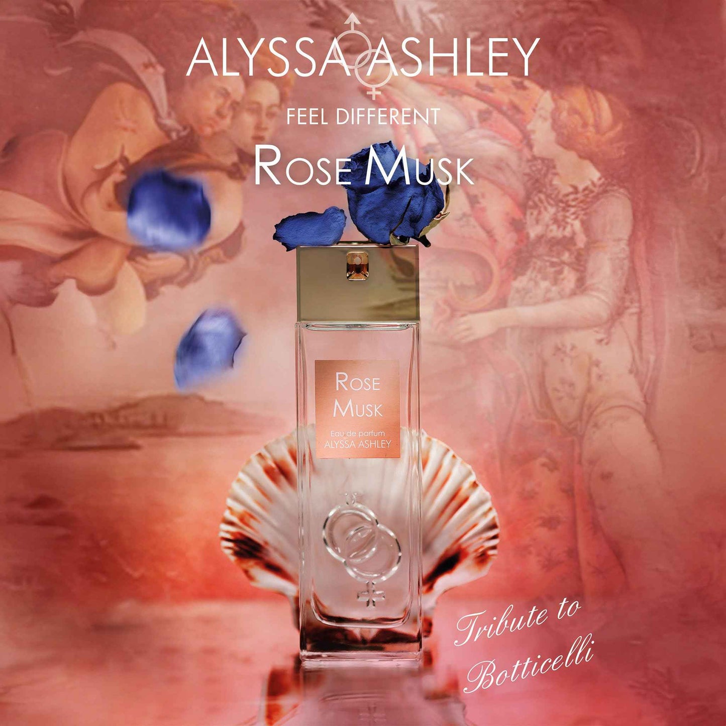 Alyssa Ashley Rose Musk - Perfumes for Women and Cologne for Men - Floral Woody Musk Fragrance with Rose and Cassis - 1.7 oz EDP Spray