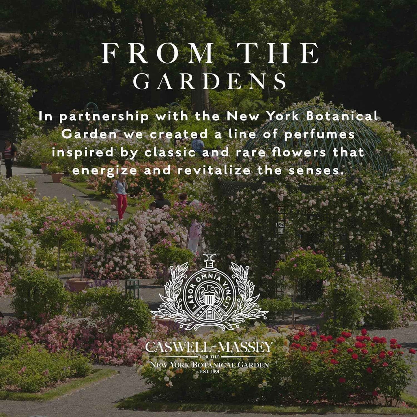 Caswell-Massey Peony Perfume Spray, Sweet Floral Scent for Women with Wild Berry and Amber, Made in USA, 0.25 Oz