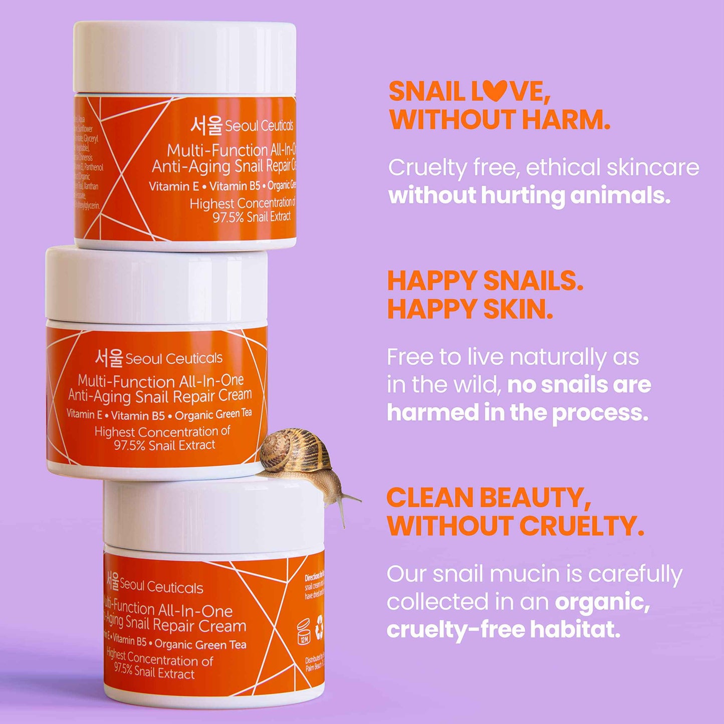 SeoulCeuticals Korean Skin Care Set - Contains Snail Cream Moisturizer + Korean Jelly Mask - This Potent Korean Skincare Set Provides Healthy, Youthful & Glowing Skin
