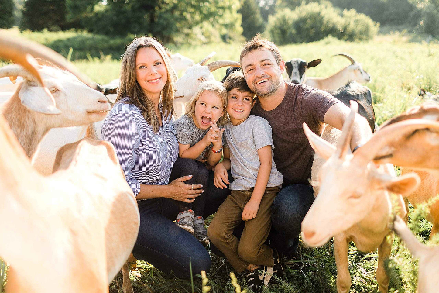 Little Seed Farm Organic Goat’s Milk Soap – 3 Pack of Activated Charcoal Facial and Body Bars – Handmade and Cruelty Free – Detoxifying and Deep Cleaning – Unscented for Sensitive Skin, Net Wt. 4.75oz