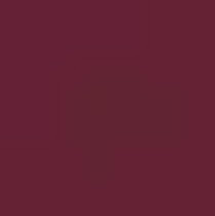 Cyzone Studio Look Matte Liquid Lipstick - Ultimate Wine