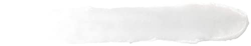 Burt's Bees All Weather SPF 15 Lip Balm, 2 Tubes
