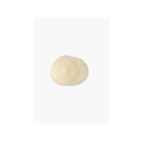 KEVIN.MURPHY BLOW.DRY RINSE - Nourishing, Repairing Conditioner - Heat Protection - Hydrating - With Shea Butter & Rice Bran Oil - Colour-Safe - Fresh Scent - 250 mL / 8.4 fl oz