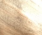 Makeup Revolution Liquid Highlighter Champagne