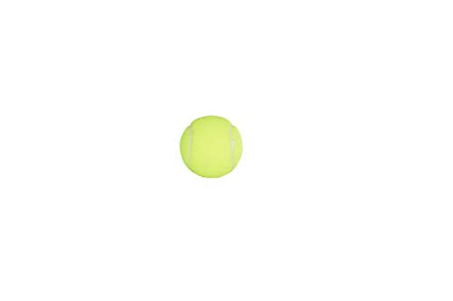 Penn Championship Tennis Balls - Extra Duty Felt Pressurized Tennis Balls 3 Count(Pack of 12)