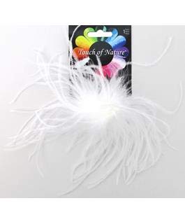 Touch of Nature Ostrich/Fluffy Clip, 4-Inch, White