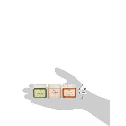FarmHouse Fresh Quick Recovery Face Mask Sampler, 3 ct.