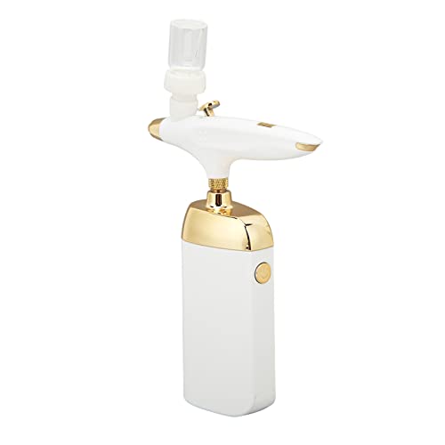 Oxygen Facial Nano Mist Sprayer Cordless Portable Device