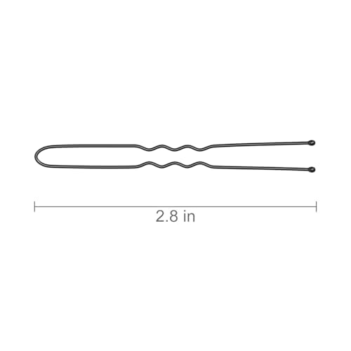 Black 2.8 Inch U Shaped Hair Pins - 100 Count for Women & Girls (Variation of THIS listing)