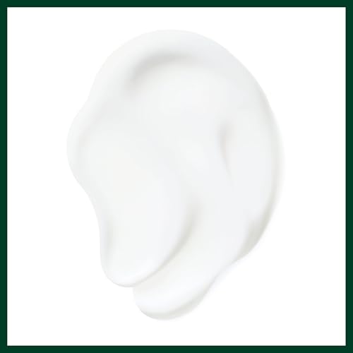 Aveda Nutriplenish Daily Moisturizing Treatment | Leave-In Treatment for Medium to Thick Dry Hair | Heat Protection | Organic Pomegranate Oil, Coconut Oil, Mango Butter | 99% Naturally Derived*