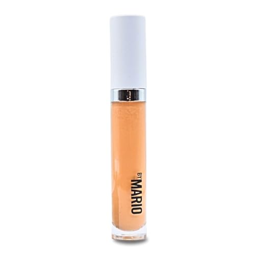 LAURA GELLER Baked Blush-n-Brighten in Starfish Island with Angled Blush Brush ? Bundle